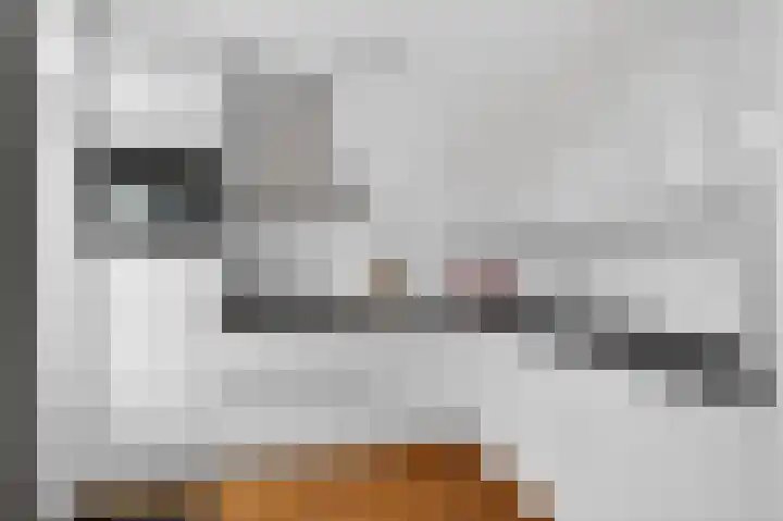 Roopkoper 1 Landsmeer thumbnail 7