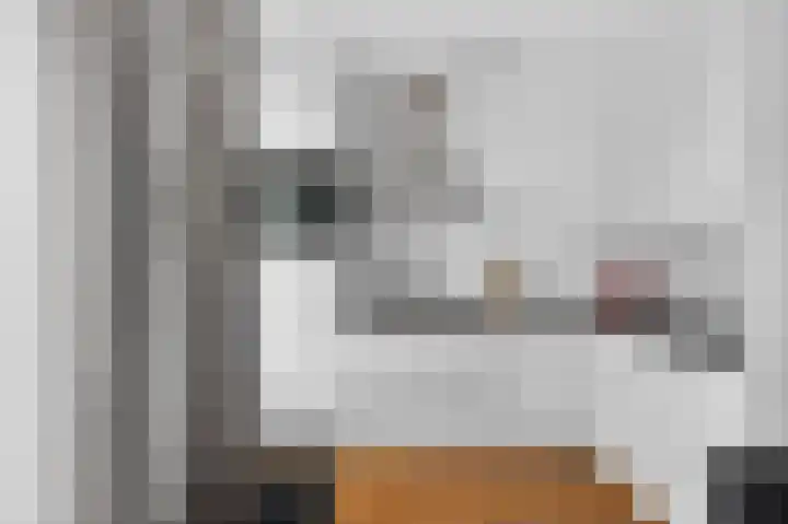 Roopkoper 1 Landsmeer thumbnail 9