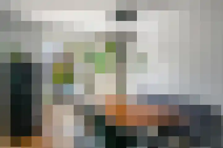 Roopkoper 38 Landsmeer thumbnail 10