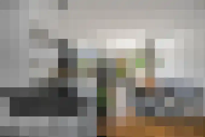 Roopkoper 38 Landsmeer thumbnail 15