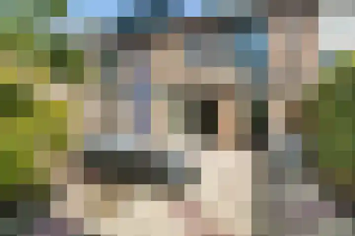 Roopkoper 38 Landsmeer thumbnail 27