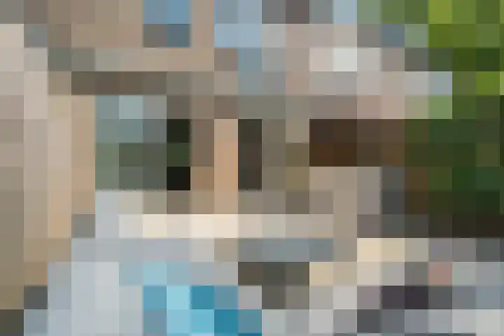 Roopkoper 38 Landsmeer thumbnail 29