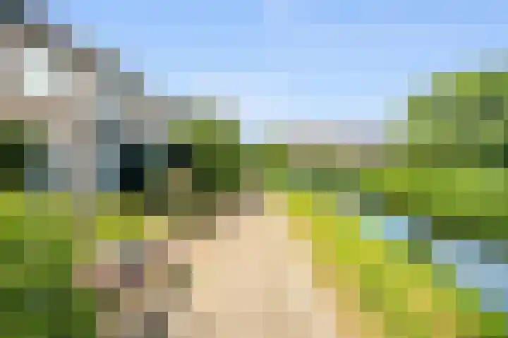 Roopkoper 38 Landsmeer thumbnail 30