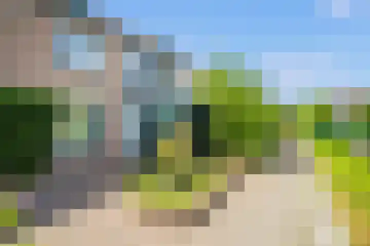 Roopkoper 38 Landsmeer thumbnail 31