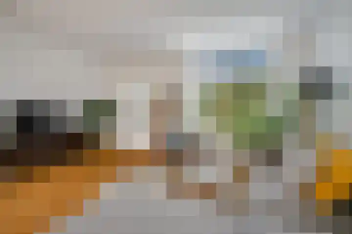 Roopkoper 38 Landsmeer thumbnail 4