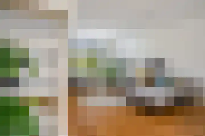 Roopkoper 38 Landsmeer thumbnail 8