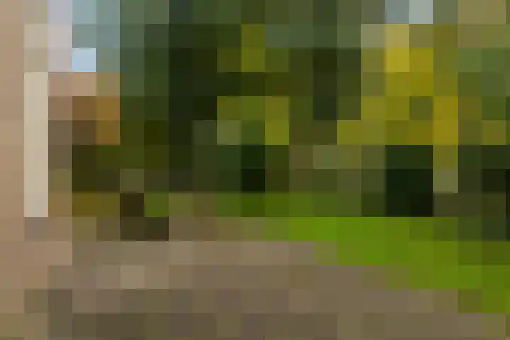 Roordaburg 34 Leeuwarden thumbnail 26