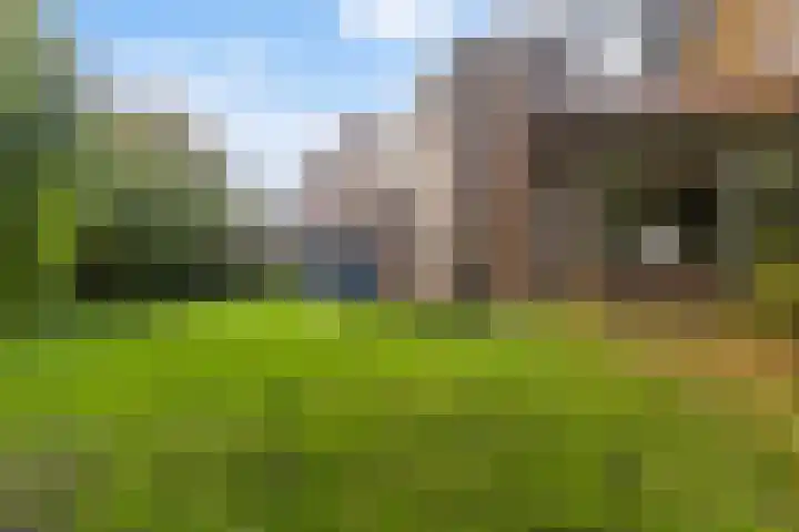 Roordaburg 34 Leeuwarden thumbnail 28
