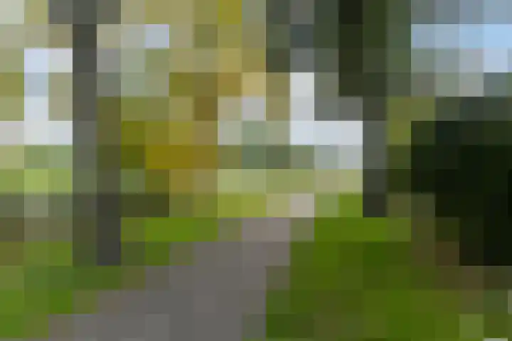 Roordaburg 34 Leeuwarden thumbnail 45