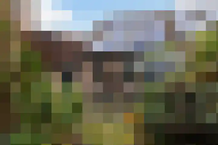Roordaburg 40 Leeuwarden thumbnail 30