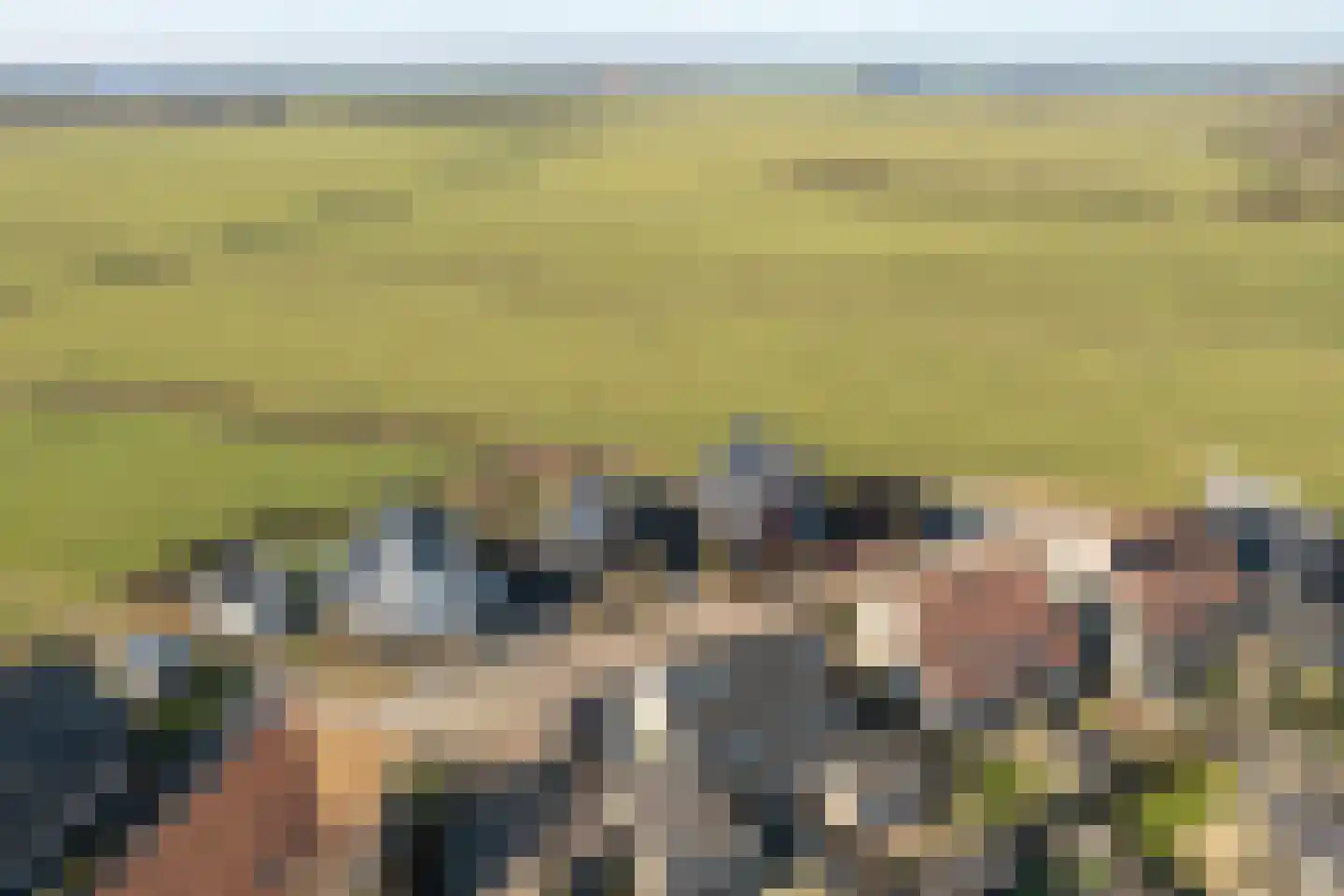 Roordahiem 4 Terkaple thumbnail 34