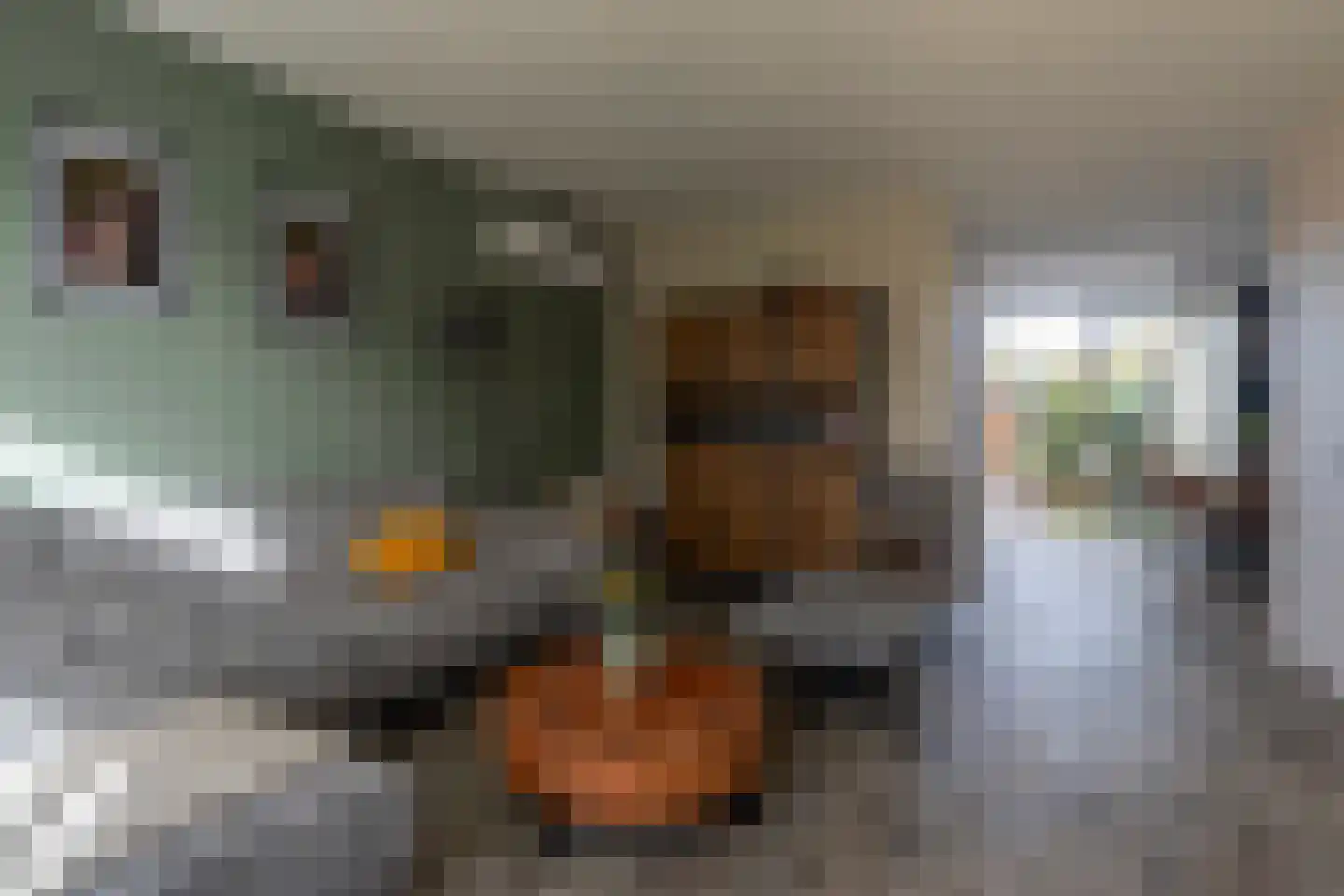Roordastrjitte 19 Nijland thumbnail 12