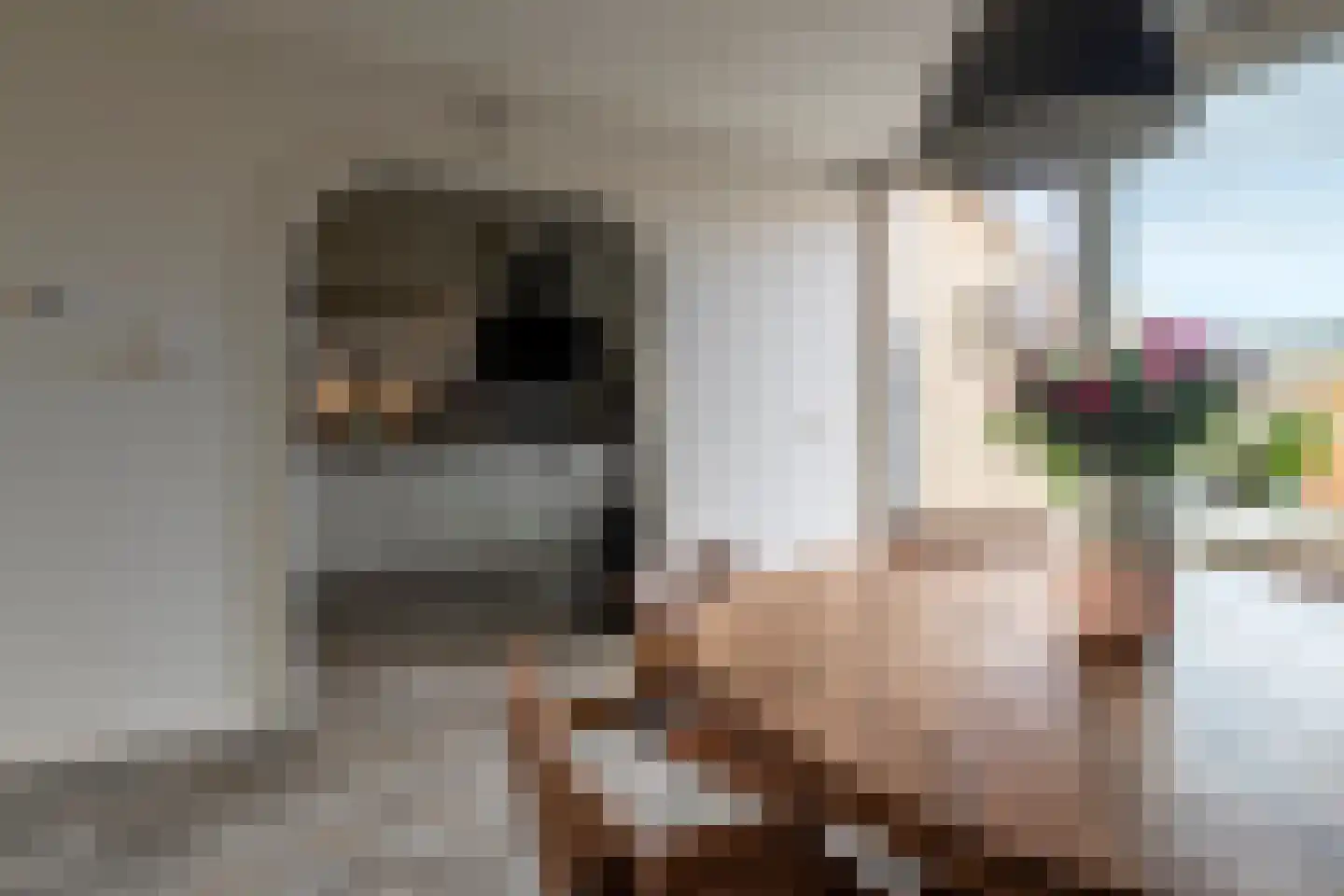 Roordastrjitte 19 Nijland thumbnail 15
