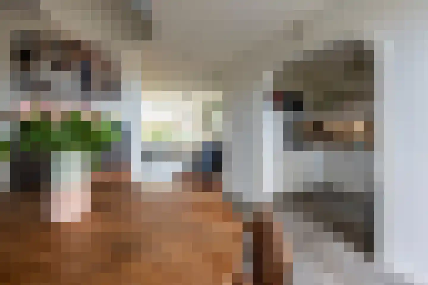 Roordastrjitte 19 Nijland thumbnail 16