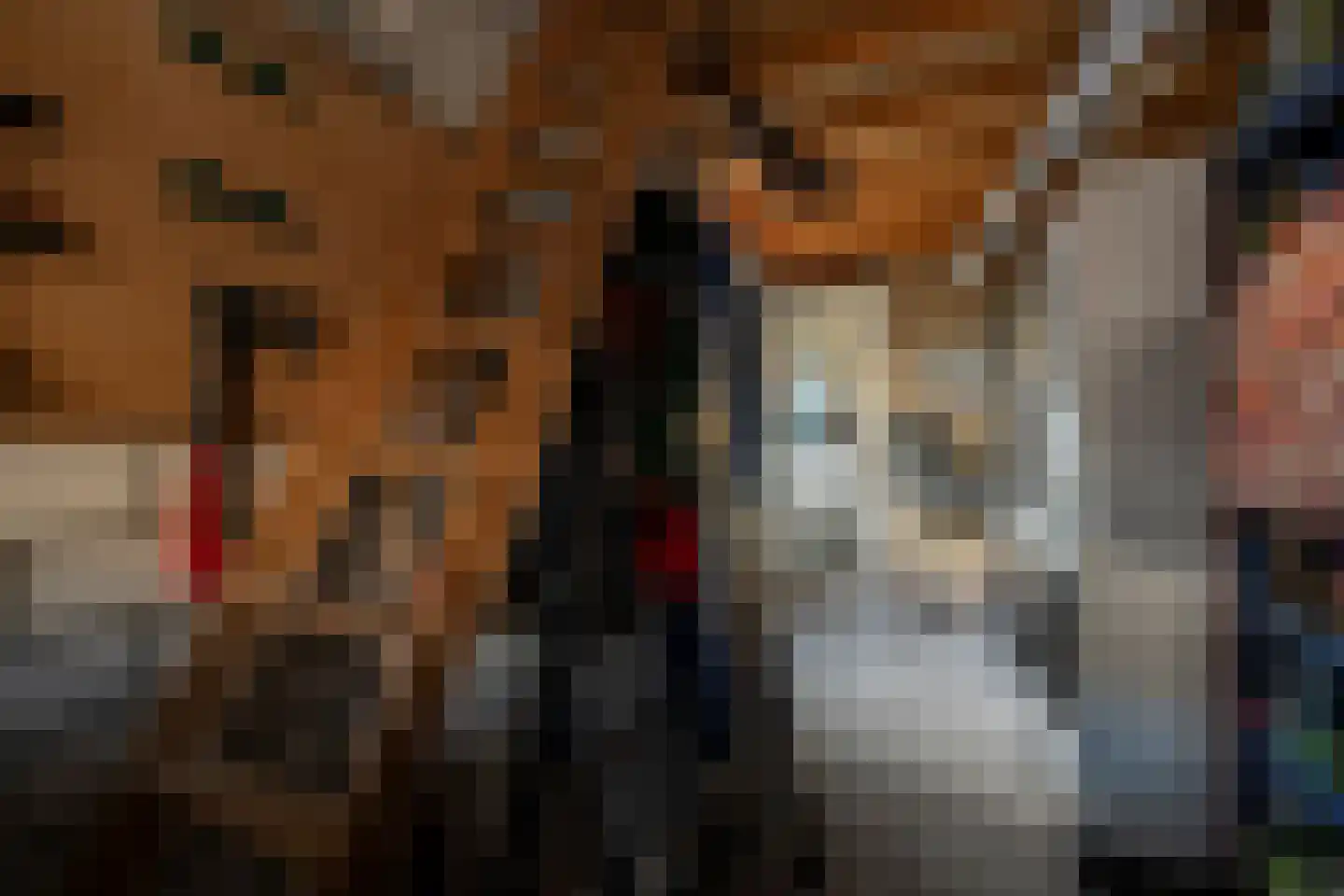 Roordastrjitte 19 Nijland thumbnail 21