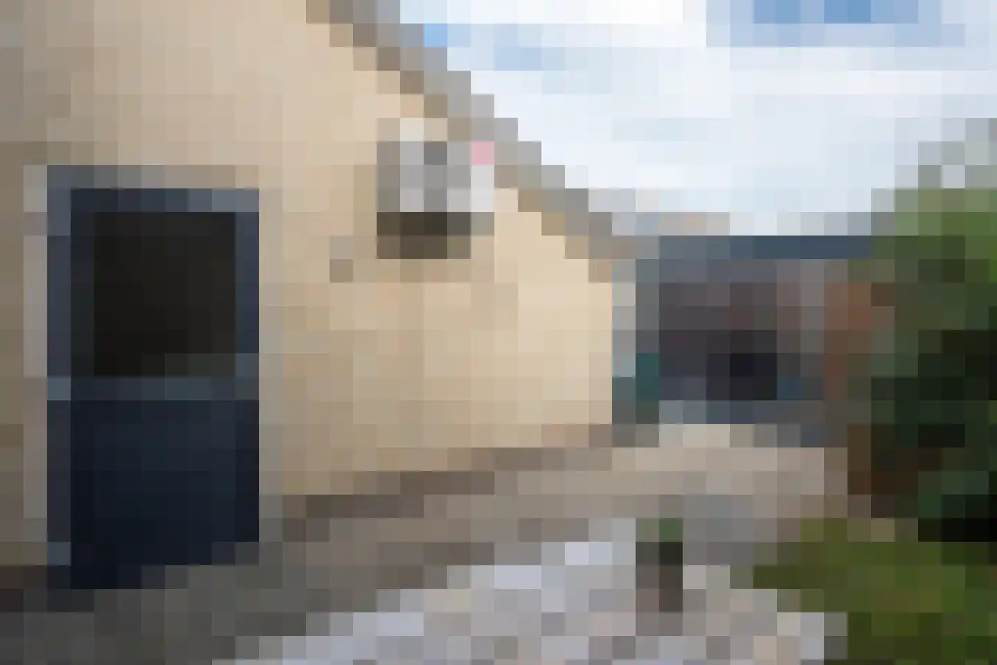 Roordastrjitte 19 Nijland thumbnail 22