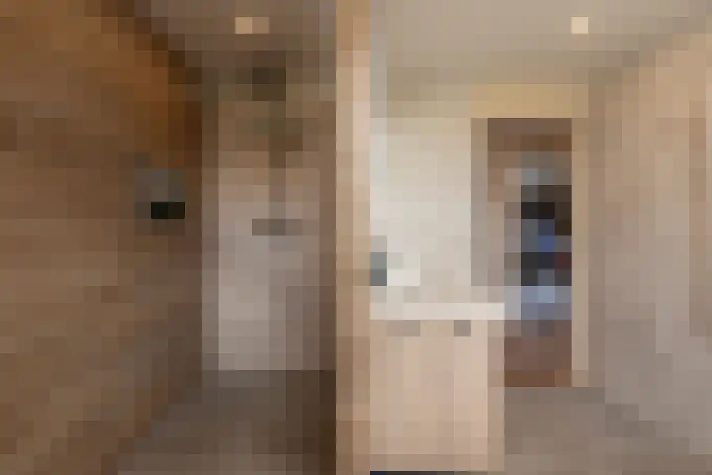 Roordastrjitte 19 Nijland thumbnail 28
