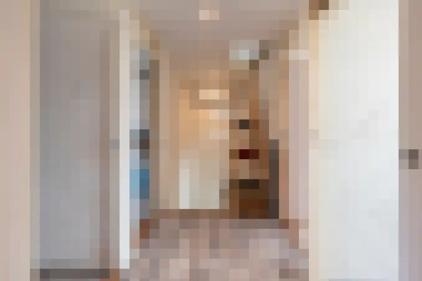 Roordastrjitte 19 Nijland thumbnail 30