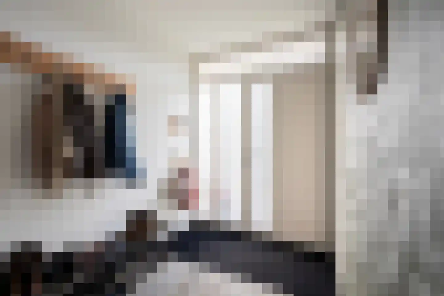 Roordastrjitte 19 Nijland thumbnail 7