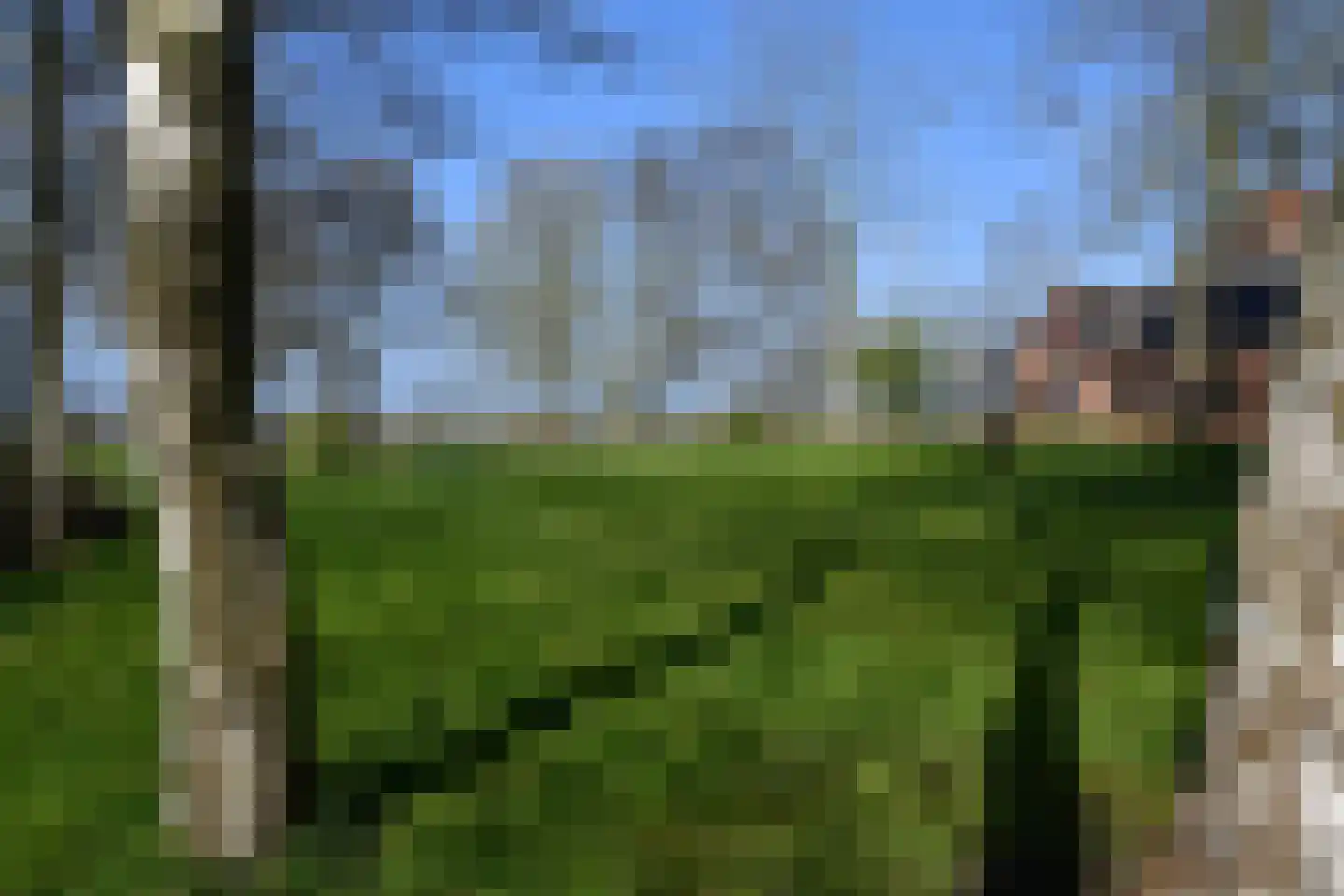 Roordaweg 1 A Niebert thumbnail 10