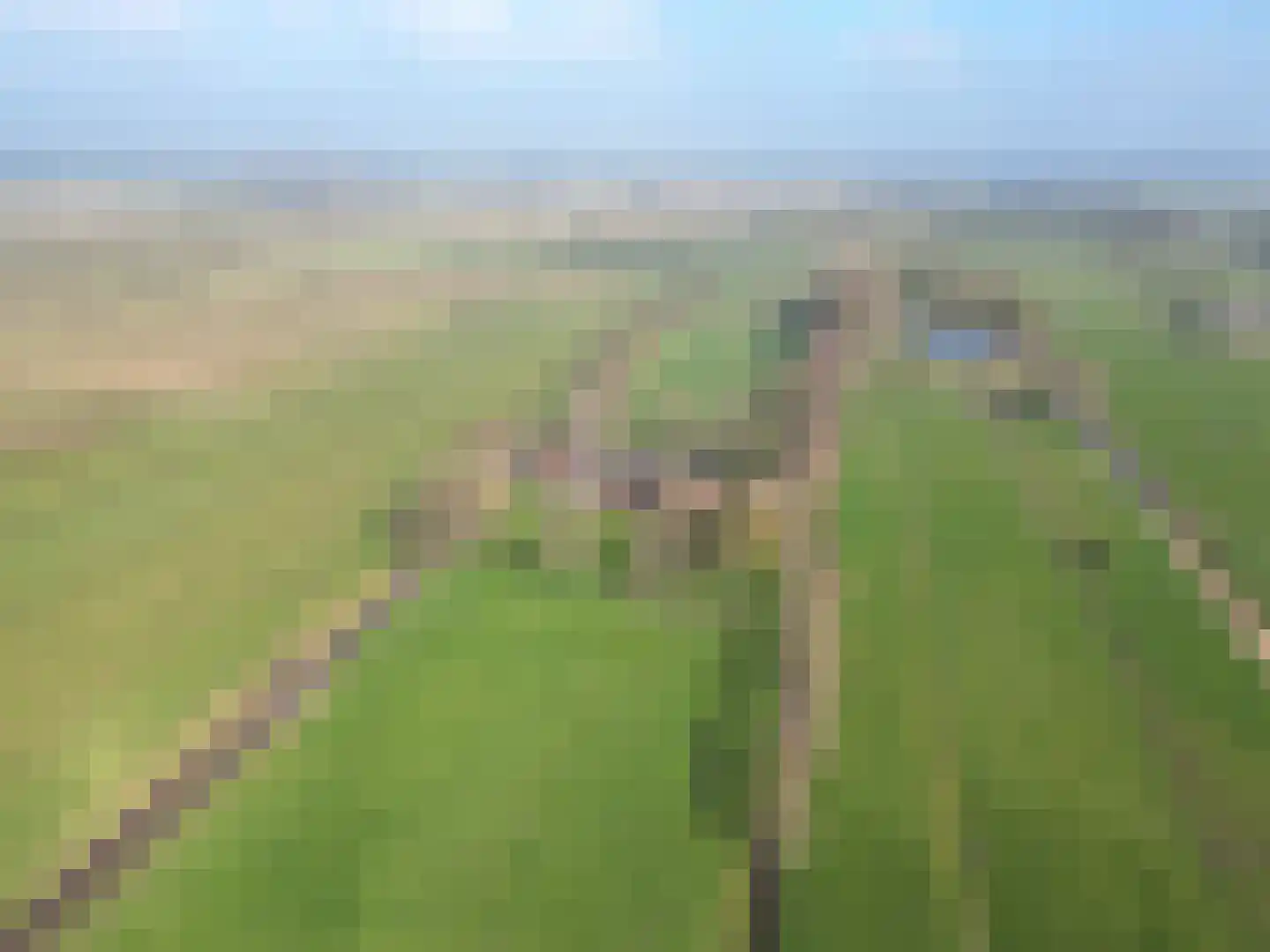 Roordaweg 1 A Niebert thumbnail 48