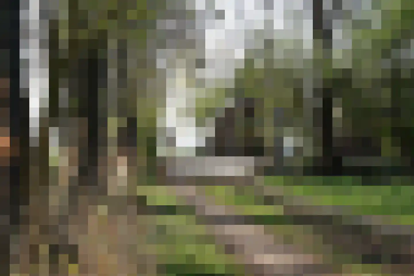 Roordaweg 1 A Niebert thumbnail 51