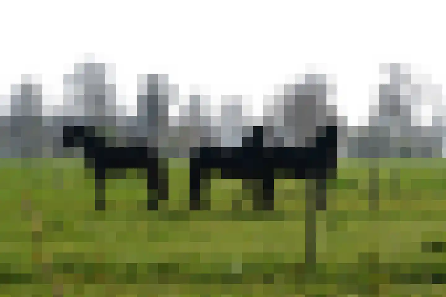 Roordaweg 1 A Niebert thumbnail 55