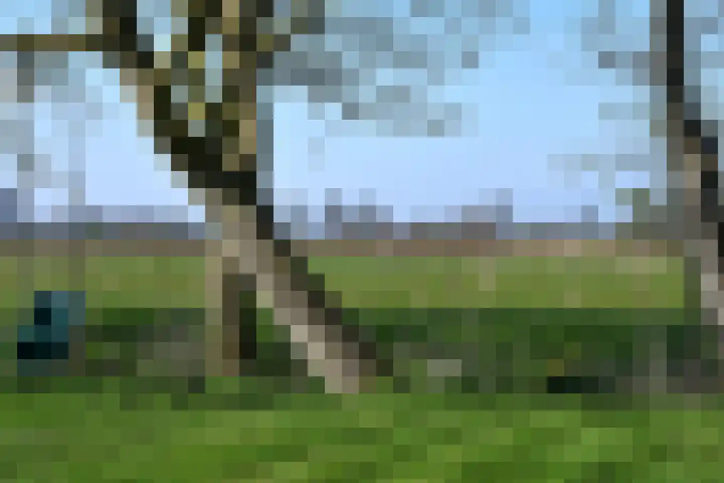 Roordaweg 1 A Niebert thumbnail 56