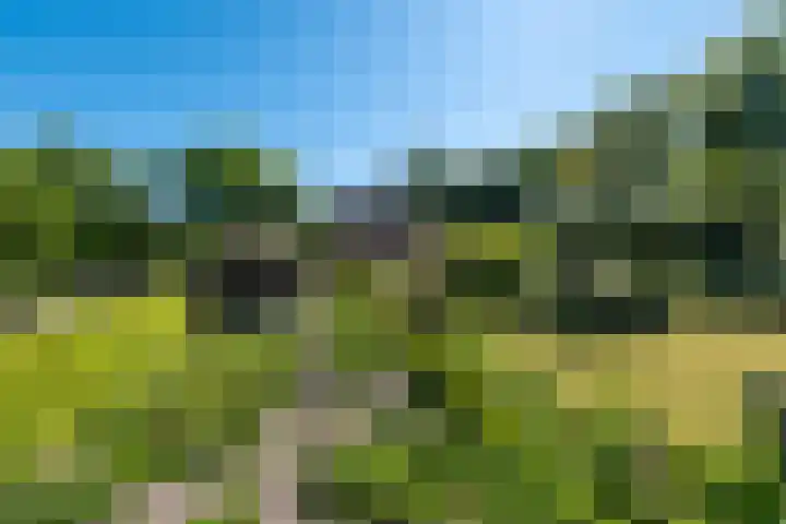 Roordaweg 12 Boerakker thumbnail 4