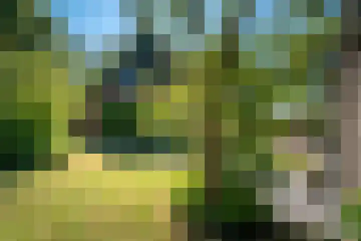 Roordaweg 12 Boerakker thumbnail 64
