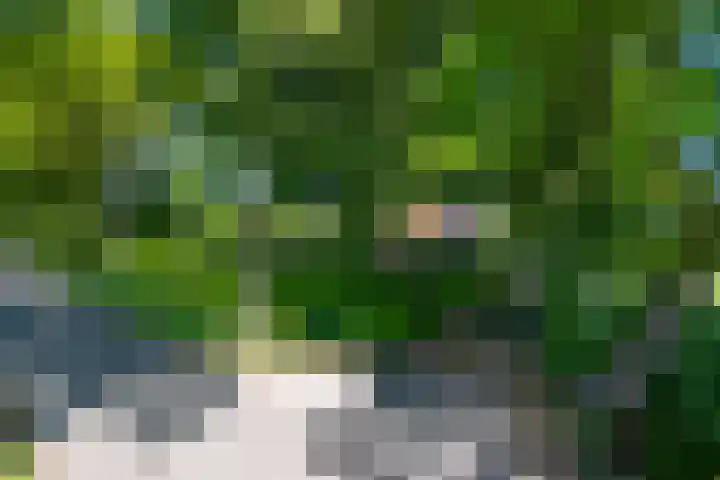 Roordaweg 12 Boerakker thumbnail 7