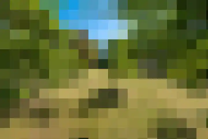 Roordaweg 12 Boerakker thumbnail 69