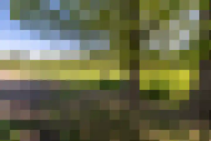 Roordaweg 12 Boerakker thumbnail 71