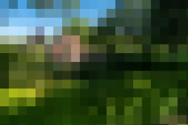 Roordaweg 12 Boerakker thumbnail 73