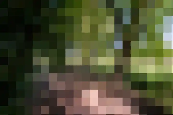 Roordaweg 12 Boerakker thumbnail 8