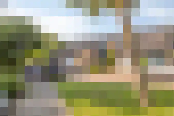 Roos 36 Krimpen aan den IJssel thumbnail 23