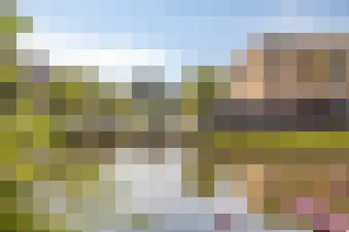 Roos 36 Krimpen aan den IJssel thumbnail 24