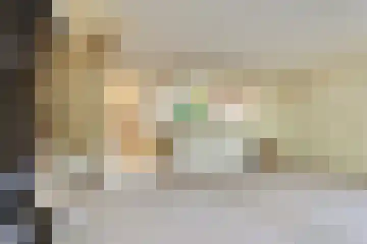 Roos 36 Krimpen aan den IJssel thumbnail 6
