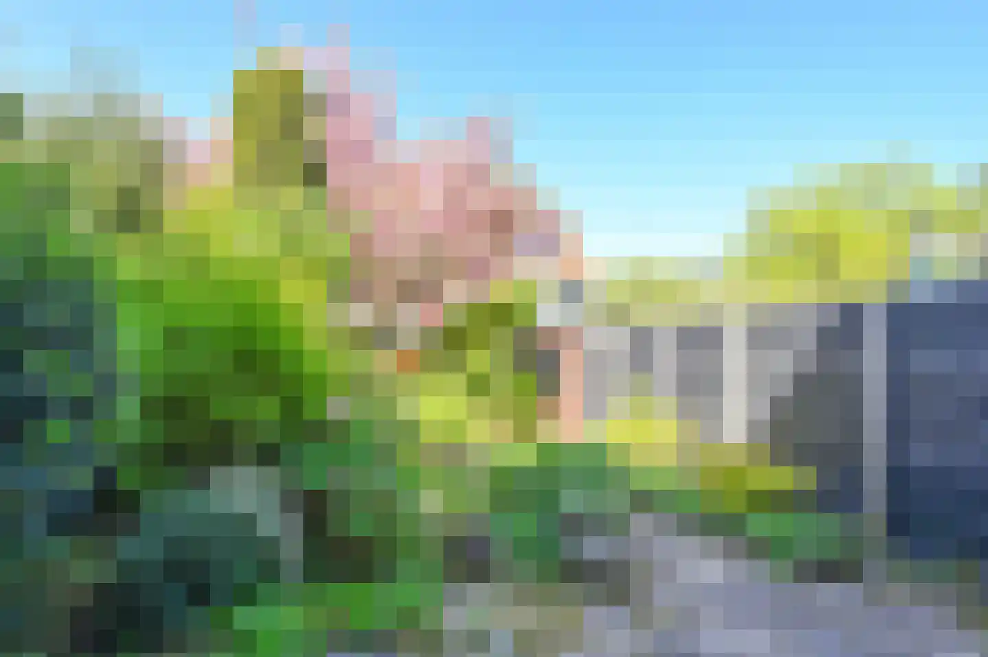 Roos en Beeklaan 101 Santpoort-Noord thumbnail 32