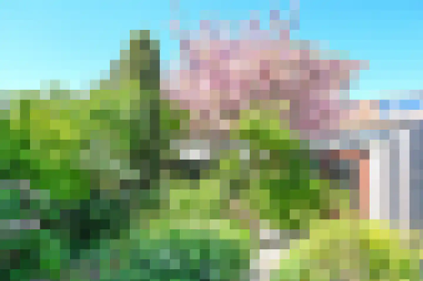 Roos en Beeklaan 101 Santpoort-Noord thumbnail 33