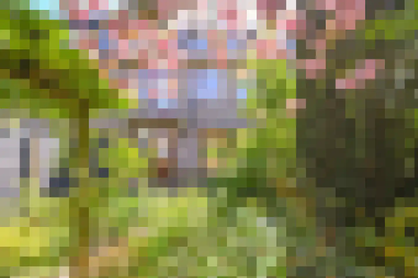 Roos en Beeklaan 101 Santpoort-Noord thumbnail 4