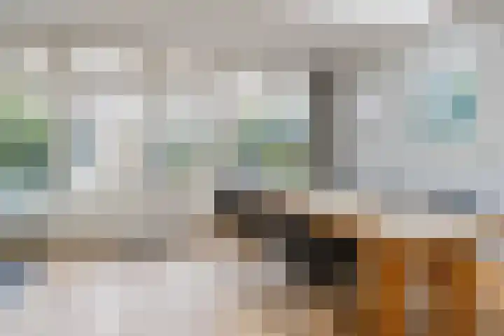 Roos en Beeklaan 18 Santpoort-Noord thumbnail 23