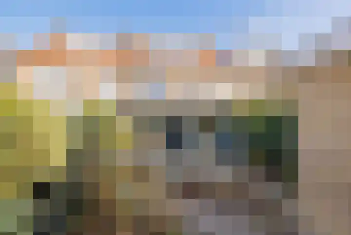 Roos en Beeklaan 18 Santpoort-Noord thumbnail 25