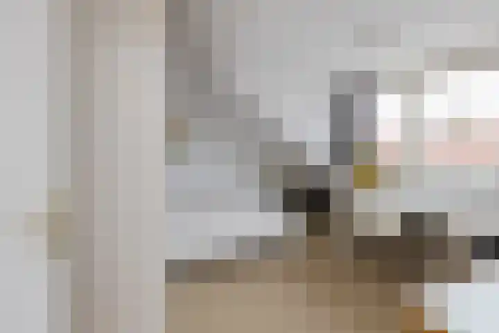 Roos en Beeklaan 18 Santpoort-Noord thumbnail 44