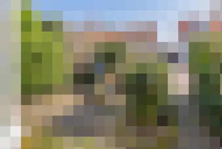 Roos en Beeklaan 18 Santpoort-Noord thumbnail 6