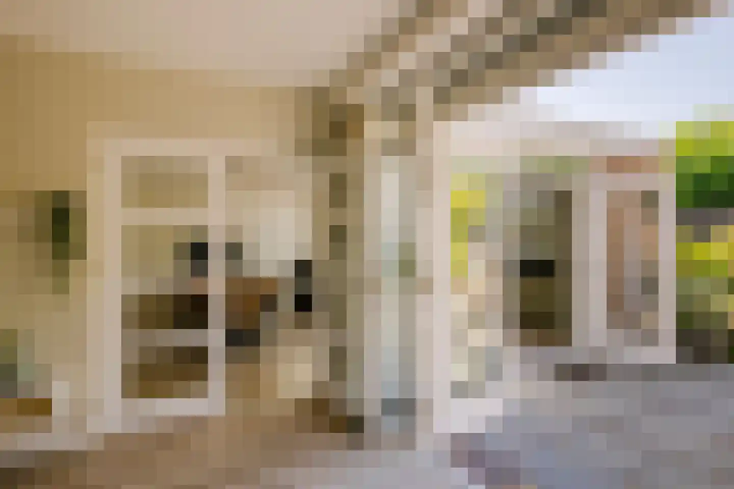 Roos en Beeklaan 27 Santpoort-Noord thumbnail 13