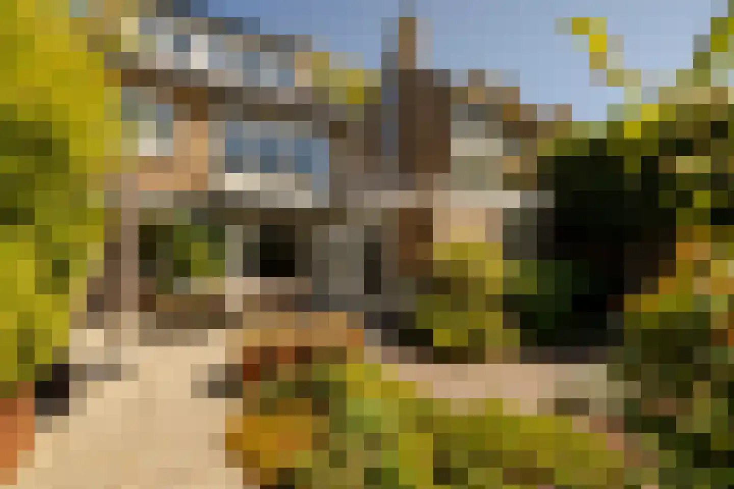 Roos en Beeklaan 27 Santpoort-Noord thumbnail 23