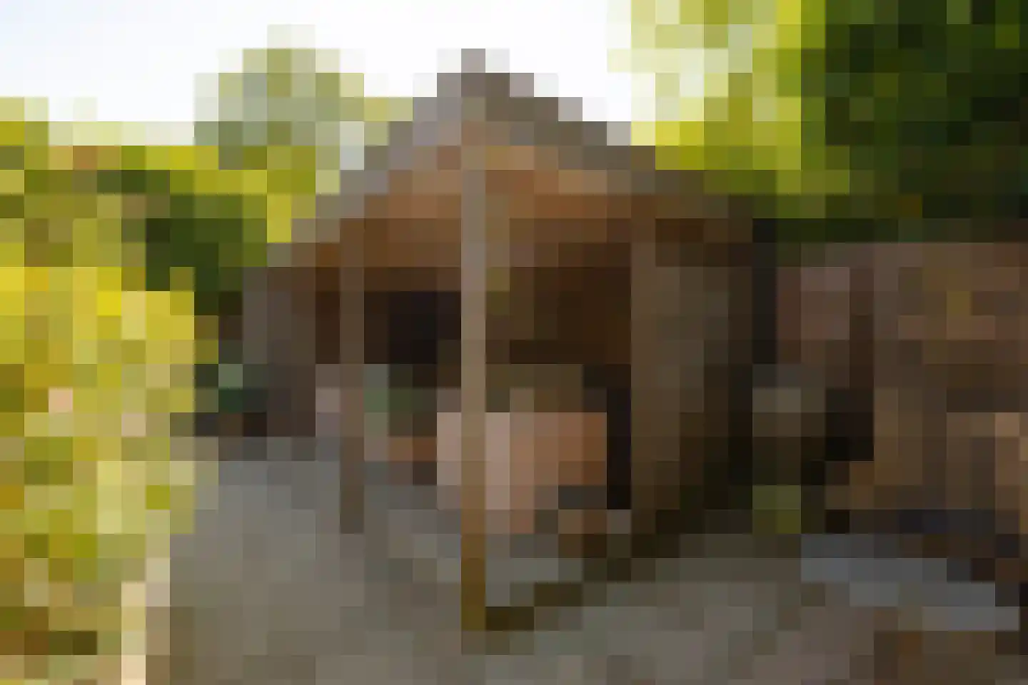 Roos en Beeklaan 27 Santpoort-Noord thumbnail 26