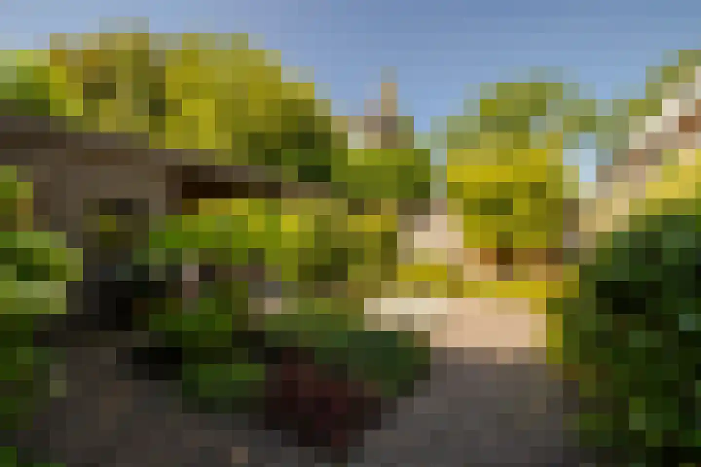 Roos en Beeklaan 27 Santpoort-Noord thumbnail 28