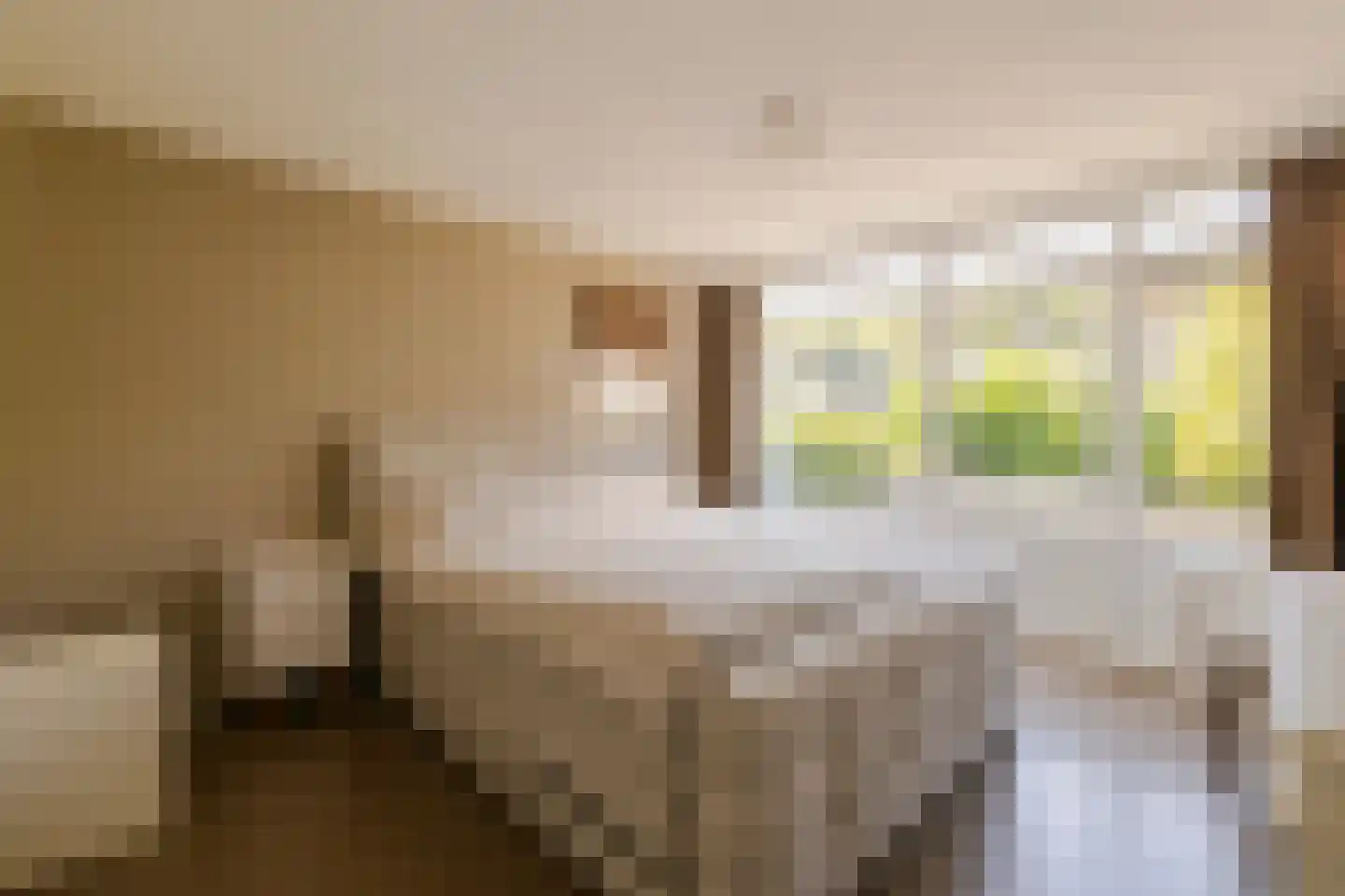 Roos en Beeklaan 27 Santpoort-Noord thumbnail 4